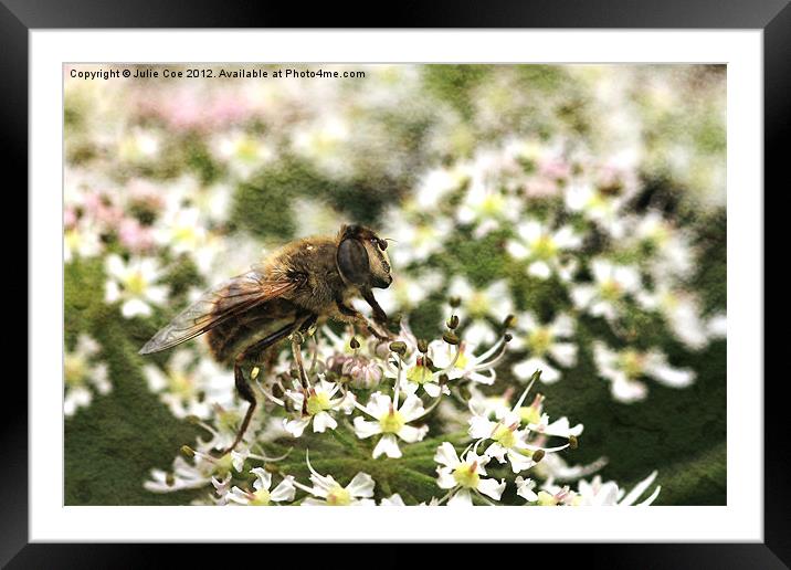 Drone Fly Framed Mounted Print by Julie Coe
