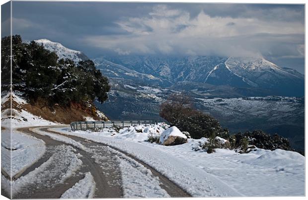 Snow in Malaga mountains Canvas Print by Barry Foote