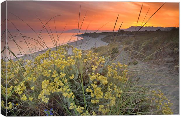 Magical red sunset Canvas Print by Guido Montañes