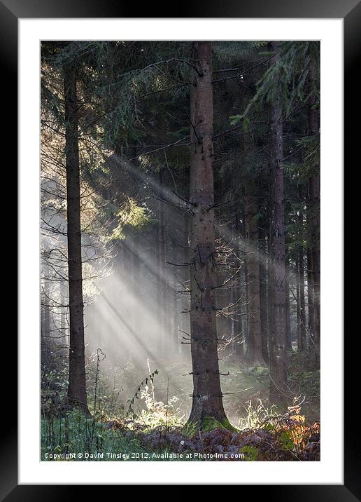 Light Beams Framed Mounted Print by David Tinsley