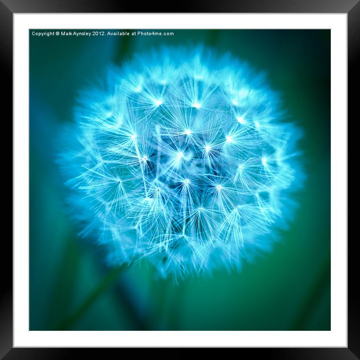 Glow. Framed Mounted Print by Mark Aynsley