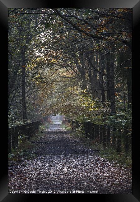 The Cycle Path Framed Print by David Tinsley