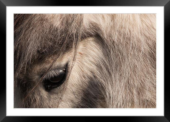 Pony's Eye Framed Mounted Print by David Craig Hughes