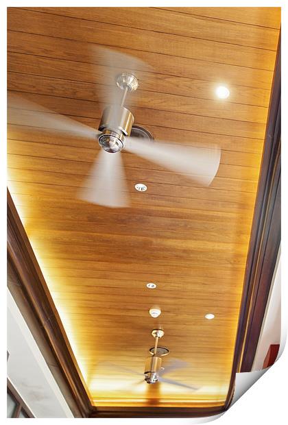 Paneled ceiling contemporary fans Print by Arfabita  