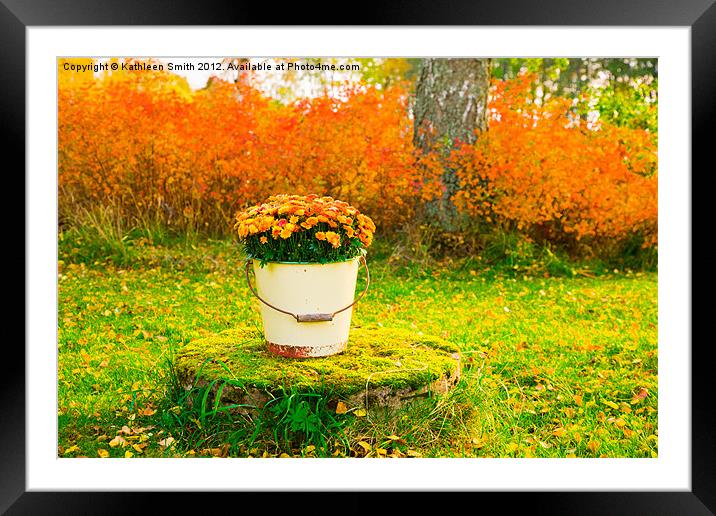Orange Chrysanthemums in a bucket Framed Mounted Print by Kathleen Smith (kbhsphoto)