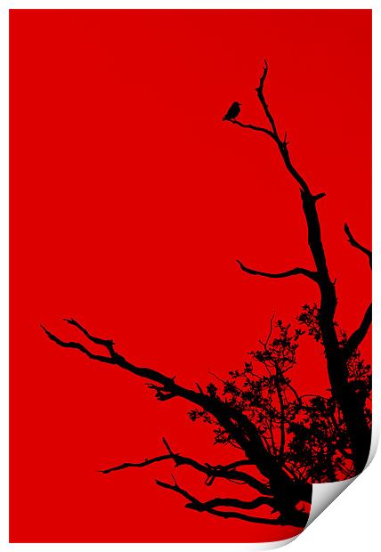 Red Print by Darren Burroughs