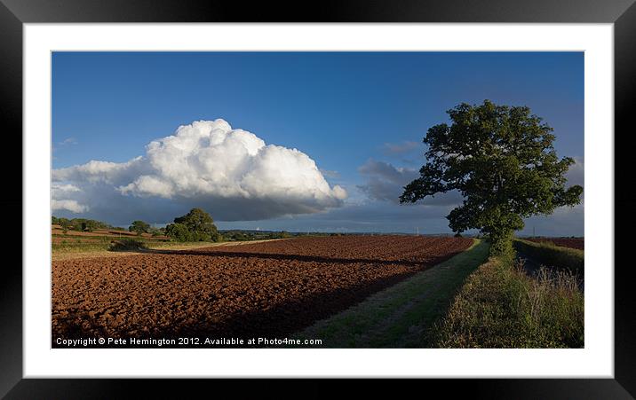 Cloud and tree Framed Mounted Print by Pete Hemington