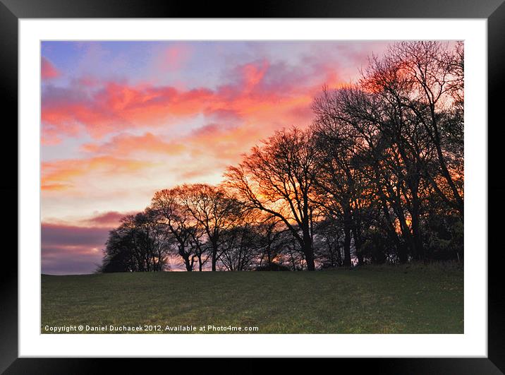 sun set behind the trees Framed Mounted Print by Daniel Duchacek