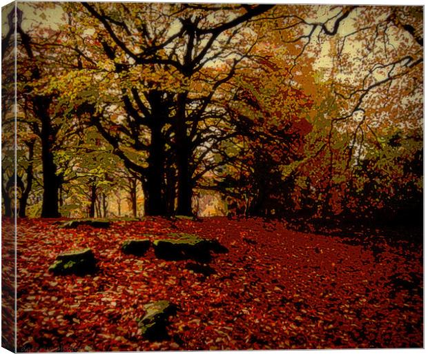 THE WOODS 3 Canvas Print by dale rys (LP)