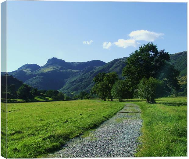 the langdale  path Canvas Print by eric carpenter