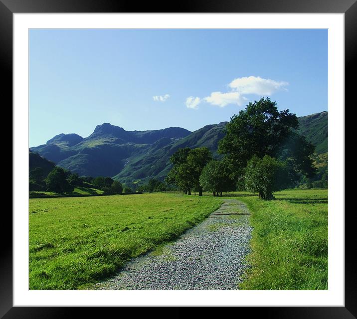 the langdale  path Framed Mounted Print by eric carpenter