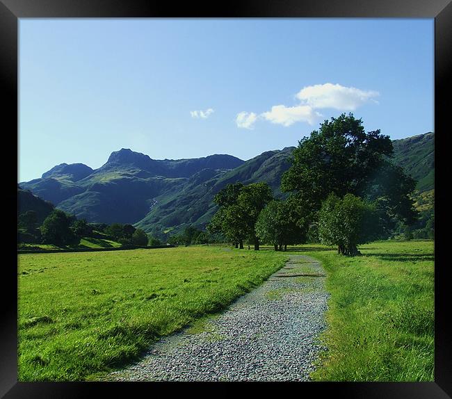 the langdale  path Framed Print by eric carpenter