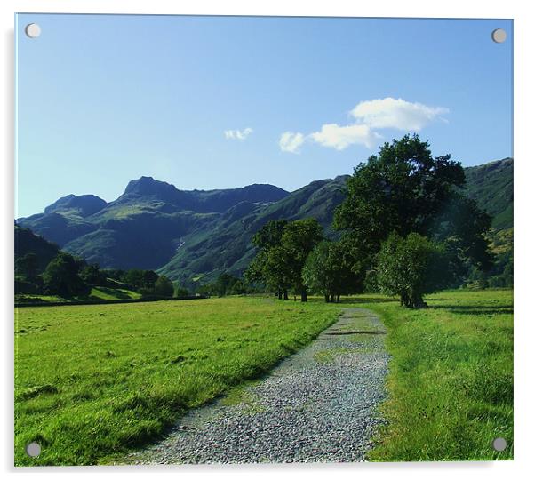 the langdale  path Acrylic by eric carpenter