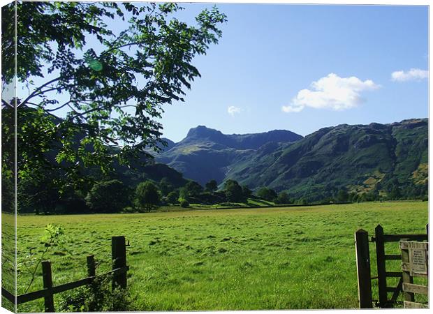 langdale pike Canvas Print by eric carpenter