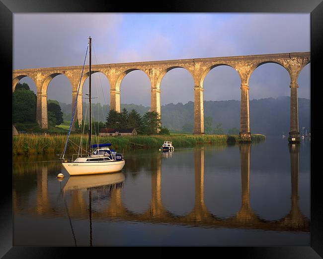 Calstock Viaduct & River Tamar Framed Print by Darren Galpin