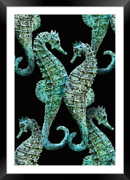 seahorses Framed Mounted Print by Heather Newton