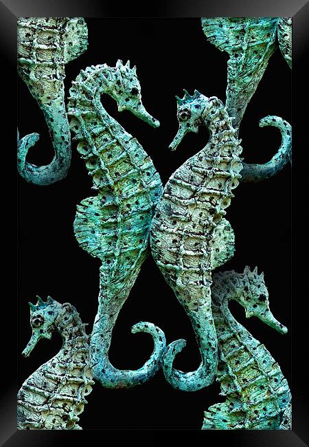 seahorses Framed Print by Heather Newton