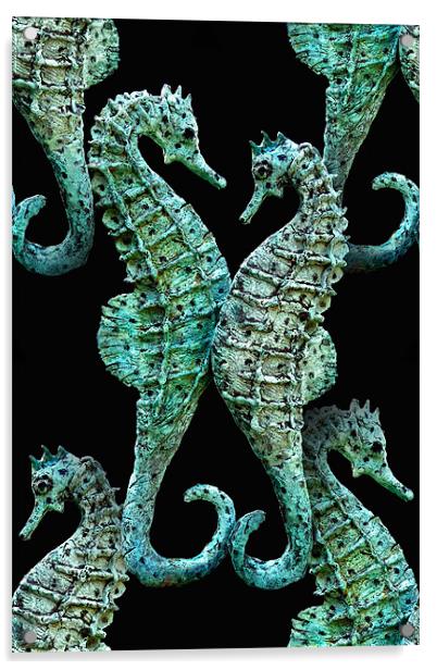 seahorses Acrylic by Heather Newton