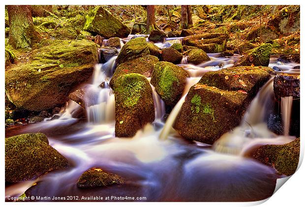 The Fairy Dell Print by K7 Photography