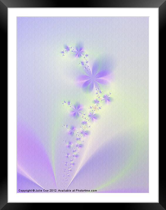 Purple Flowers Framed Mounted Print by Julie Coe
