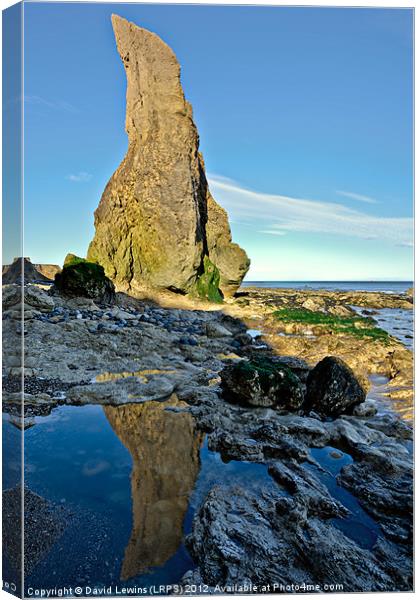 Sea Stack Reflection Canvas Print by David Lewins (LRPS)