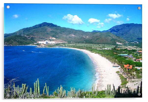 Playa Puerto Cruz Acrylic by World Images