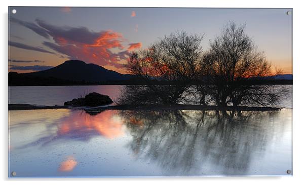 Cubillas lake Acrylic by Guido Montañes