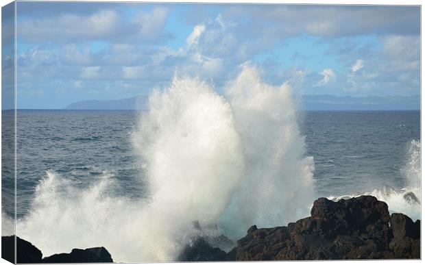 Waves crashing on lava shore Canvas Print by Malcolm Snook