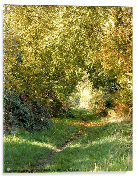 An Autumn Walk, Peddars Way Acrylic by Janet Tate