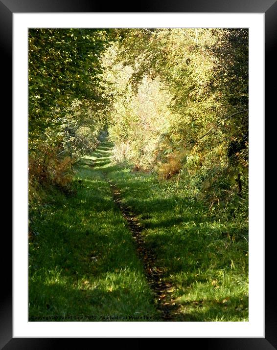An Autumn Walk, Peddars Way Framed Mounted Print by Janet Tate