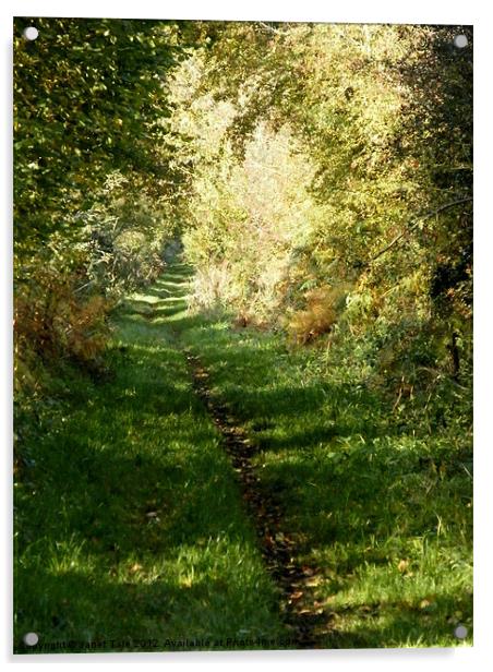 An Autumn Walk, Peddars Way Acrylic by Janet Tate
