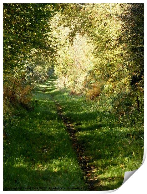 An Autumn Walk, Peddars Way Print by Janet Tate
