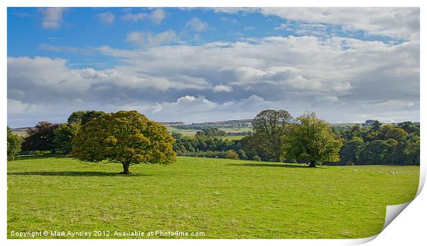Green and pleasant land. Print by Mark Aynsley