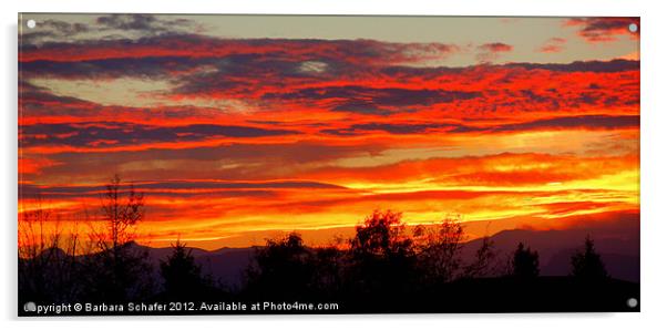 Colorado Sky Acrylic by Barbara Schafer