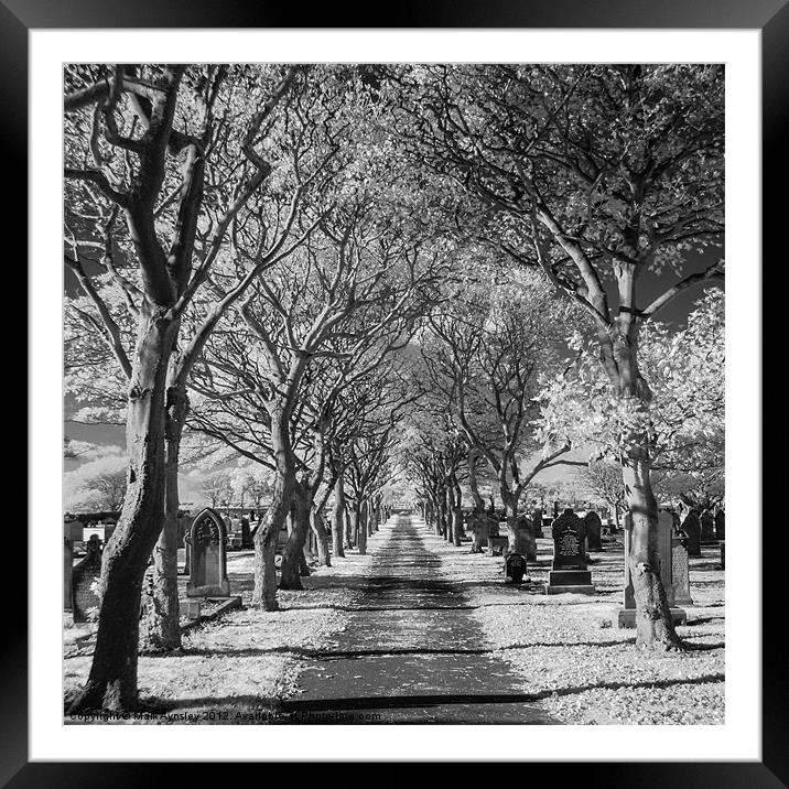 Cemetery path. Framed Mounted Print by Mark Aynsley