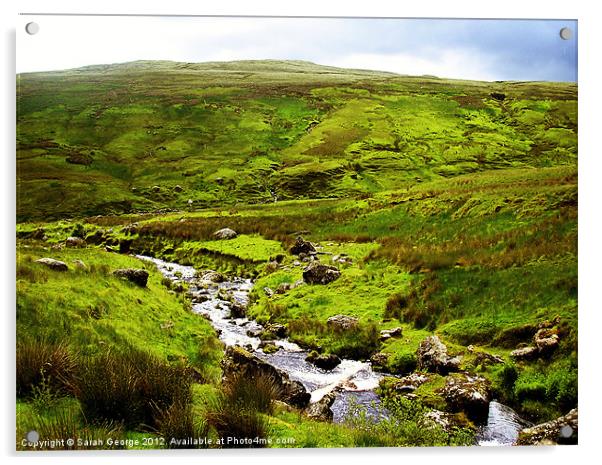Irish Landscape Acrylic by Sarah George