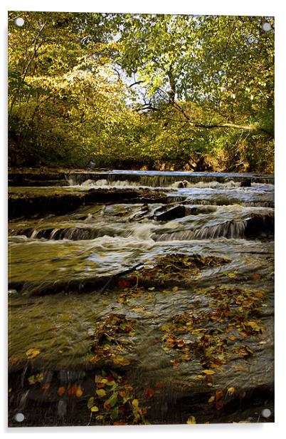 Cascading River in Autumn Acrylic by Jim Jones