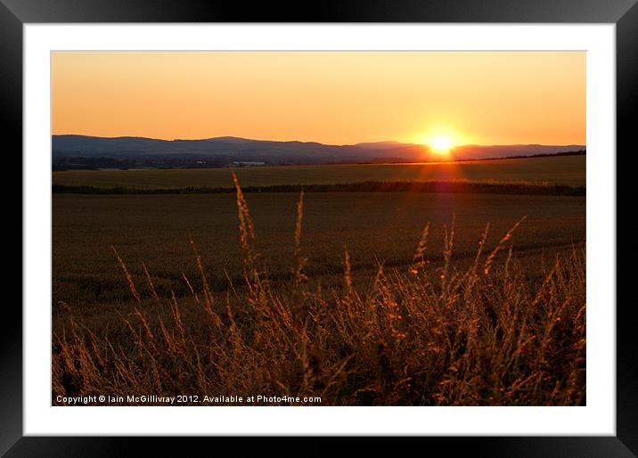 Sunset Fields Framed Mounted Print by Iain McGillivray