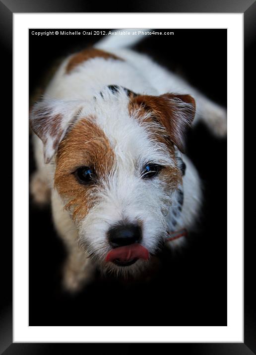 I am the cutest, aren't I? Framed Mounted Print by Michelle Orai
