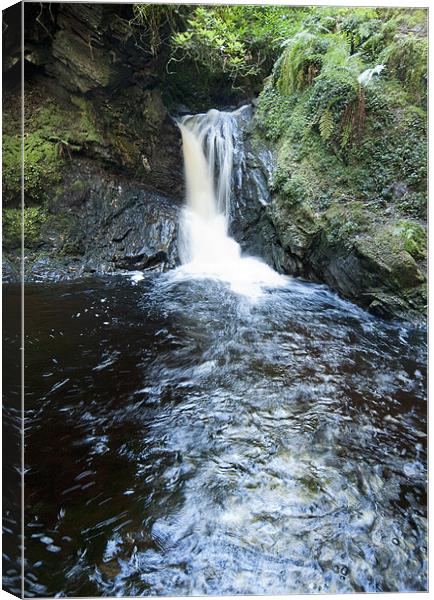 Puck's Glen lower waterfall Canvas Print by Gary Eason