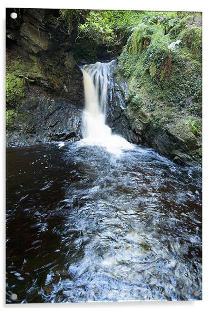 Puck's Glen lower waterfall Acrylic by Gary Eason