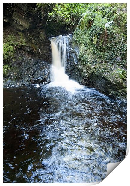 Puck's Glen lower waterfall Print by Gary Eason