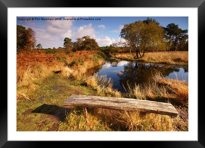 Seat by the pond Framed Mounted Print by Phil Wareham