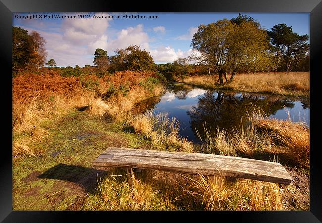 Seat by the pond Framed Print by Phil Wareham
