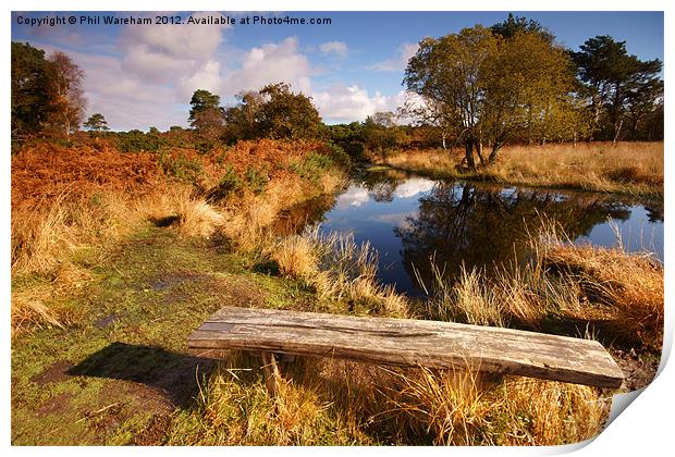 Seat by the pond Print by Phil Wareham
