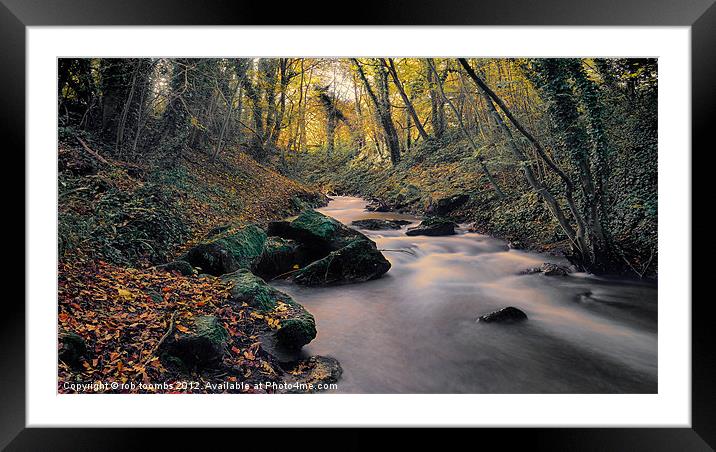 AUTUMN MOVEMENT Framed Mounted Print by Rob Toombs