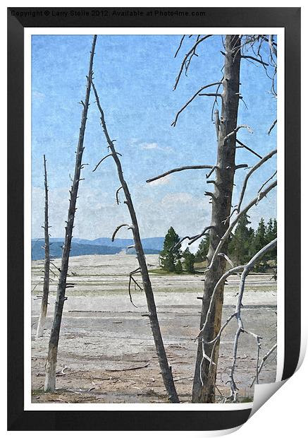 Yellowstone Park Print by Larry Stolle