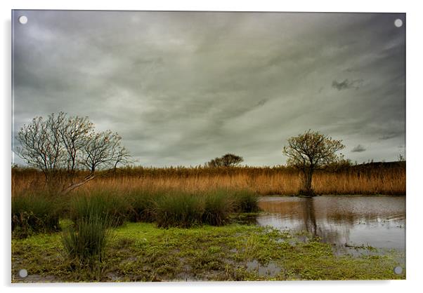 Braunton Marsh Acrylic by Dave Wilkinson North Devon Ph
