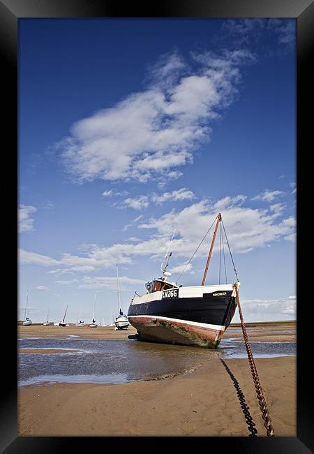 A stranded Sovereign Framed Print by Paul Macro