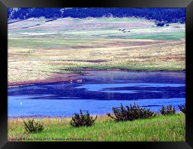 MONTANA RANCH Framed Print by Larry Stolle